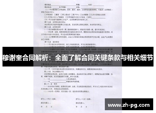 穆谢奎合同解析：全面了解合同关键条款与相关细节