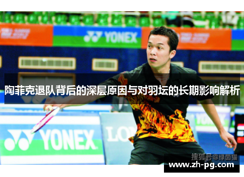 陶菲克退队背后的深层原因与对羽坛的长期影响解析 陶菲克退队背后的深层原因与对羽坛的长期影响解析